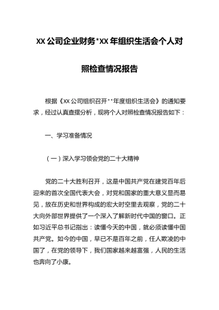 XX公司企业财务20XX年组织生活会个人对照检查情况报告