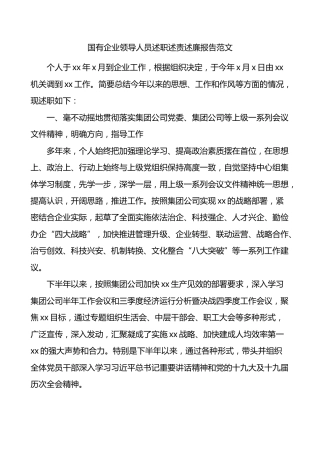 国有企业领导人员述职述责述廉报告范文