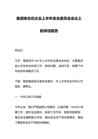 集团老总在企业上半年安全委员会会议上的讲话报告