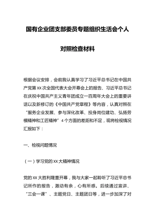 国有企业团支部委员专题组织生活会个人对照检查材料.