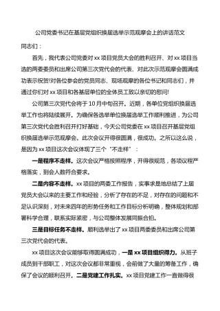 公司党委书记在基层党组织换届选举示范观摩会上的讲话范文党支部集团企业