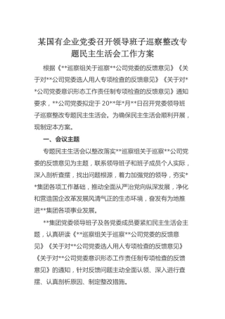 巡察整改专题民主生活会：某国有企业党委召开领导班子巡察整改专题民主生活会工作方案