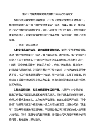 集团公司党委开展党建质量提升年活动总结范文企业工作汇报报告