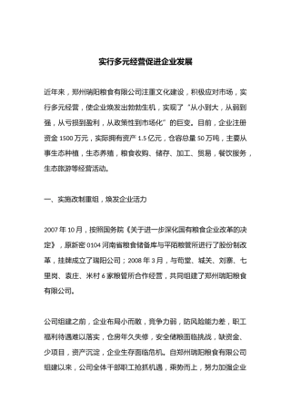 实行多元经营促进企业发展