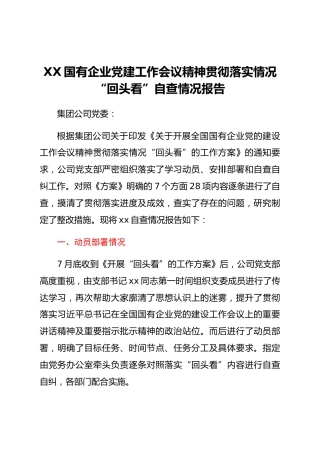 XX国有企业党建工作会议精神贯彻落实情况“回头看”自查情况报告