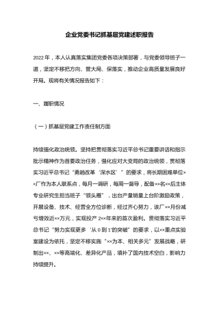 企业党委书记抓基层党建述职报告