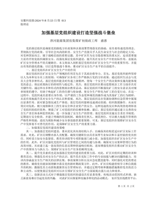 加强基层党组织建设打造坚强战斗堡垒_淮河能源集团张集煤矿初级政工师__盛惠