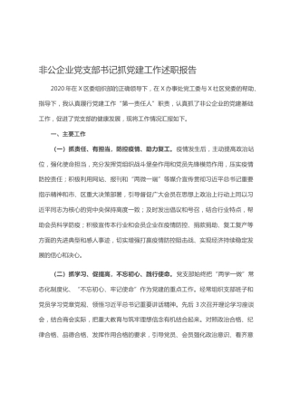 2.6非公企业党支部书记抓党建工作述职报告 (2)