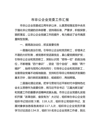 市非公企业党委工作汇报