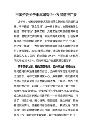 市国资委市属国有企业发展情况汇报