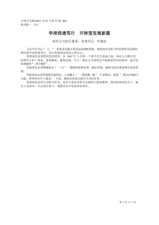 南化公司执行董事、党委书记叶晓东：学深悟透笃行开转型发展新篇