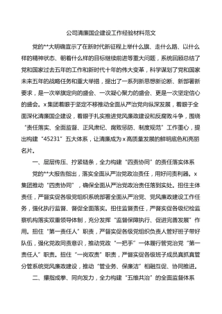 公司清廉国企建设工作经验材料国有企业总结汇报报告
