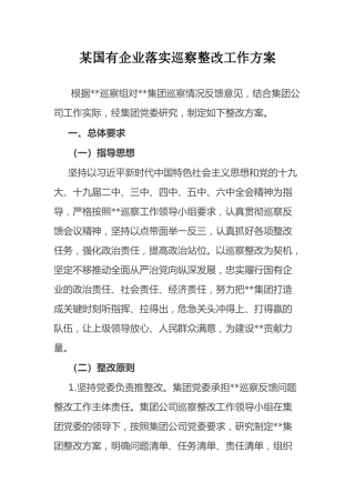国企落实巡察整改工作方案：某国有企业落实巡察整改工作方案