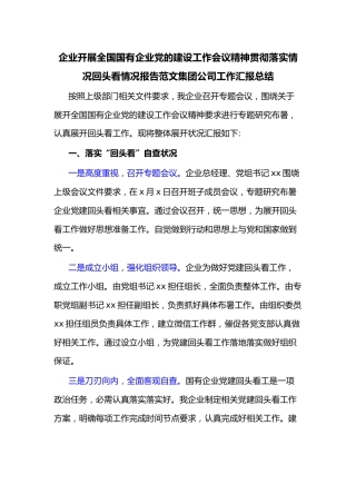 企业开展全国国有企业党的建设工作会议精神贯彻落实情况回头看情况报告范文集团公司工作汇报总结