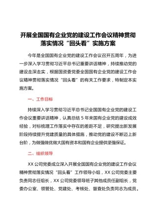 公司开展全国国有企业党的建设工作会议精神贯彻落实情况“回头看”实施方案