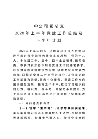 企业半年党建总结