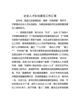 业人才队伍建设工作汇报