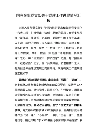 国有企业党支部党建工作进展情况汇报