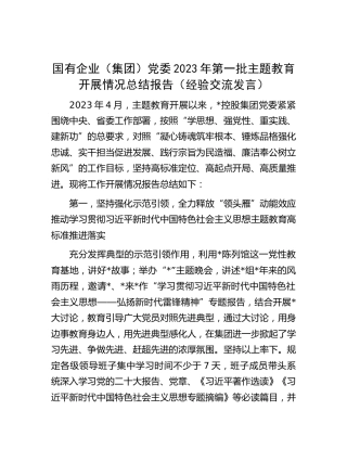 主题教育经验：国有企业（集团）党委2023年第一批主题教育开展情况总结报告（经验交流发言）
