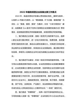 2022年服务民营企业发展主要工作要点(1)