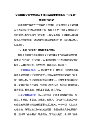 全国国有企业党的建设工作会议精神贯彻落实“回头看”情况报告范文