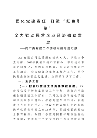 强化党建责任打造红色引擎全力驱动民营企业经济强劲发展向市委党建工作调研组的专题汇报