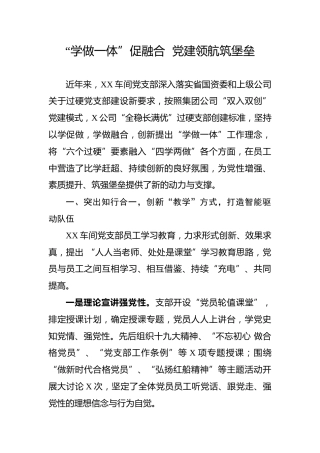 企业党支部典型经验材料（党支部典型案例）