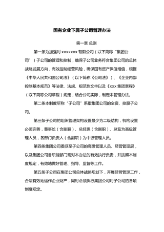国有企业下属子公司管理办法