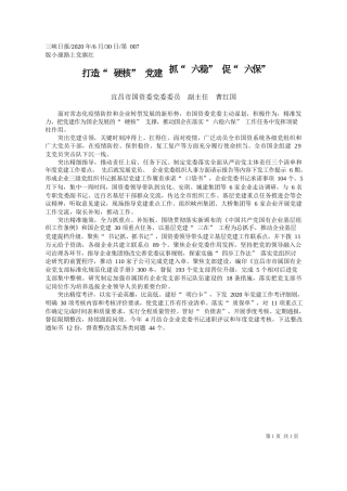 2020.06.30宜昌市国资委党委委员副主任曹红国：打造硬核党建抓六稳促六保