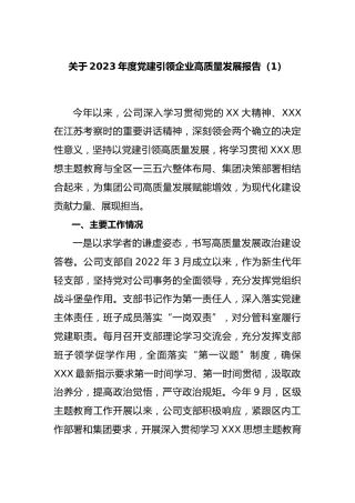 2023年度党建引领企业高质量发展报告（1）