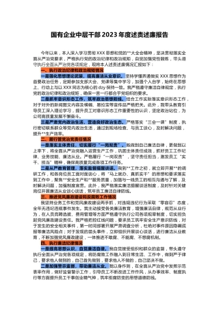 国有企业中层干部2023年度述责述廉报告
