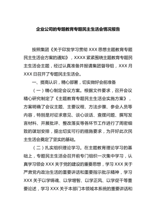 企业公司的专题教育专题民主生活会情况报告