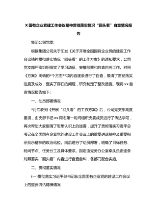 X国有企业党建工作会议精神贯彻落实情况“回头看”自查情况报告