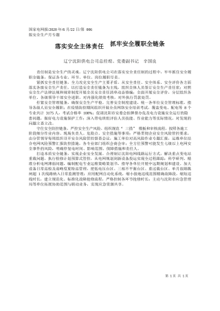 2020.06.22辽宁沈阳供电公司总经理、党委副书记辛国良：落实安全主体责任抓牢安全履职全链条