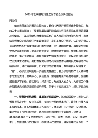 2023年公司基层党建工作会议讲话集团企业 