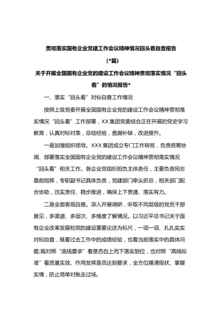 (3篇)贯彻落实国有企业党建工作会议精神情况回头看自查报告