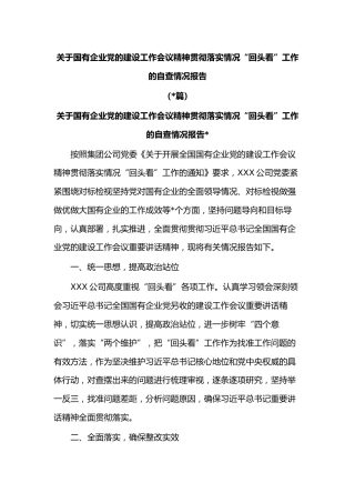 (2篇)关于国有企业党的建设工作会议精神贯彻落实情况“回头看”工作的自查情况报告