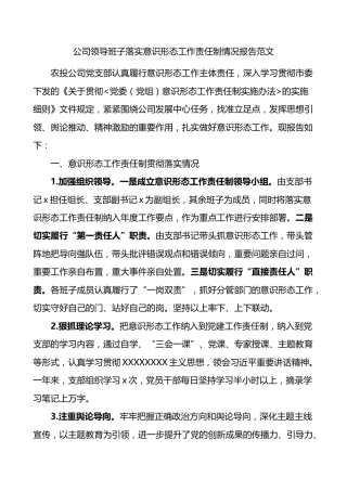 公司领导班子ysxt工作责任制报告集团企业总结汇报