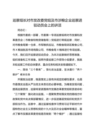 巡察组长对市发改委党组及市涉粮企业巡察进驻动员会上的讲活