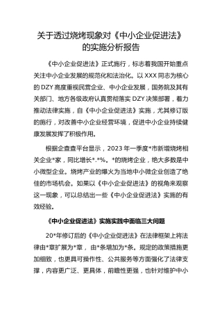 透过烧烤现象对《中小企业促进法》的实施分析报告