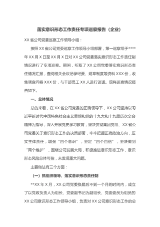 落实意识形态工作责任专项巡察报告（企业）