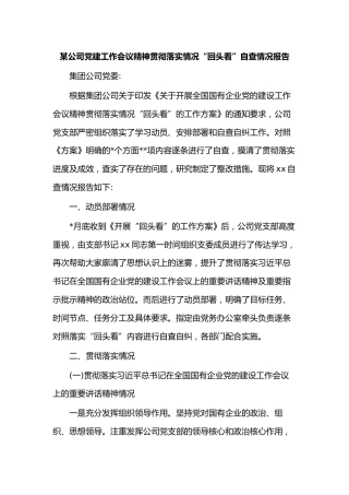 开展全国国有企业党的建设工作会议精神贯彻落实情况“回头看”的情况报告