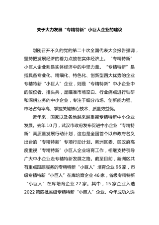 大力发展“专精特新”小巨人企业的建议