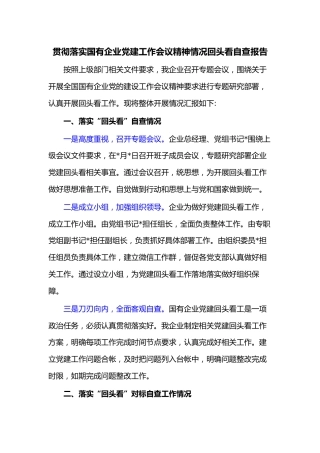 贯彻落实国有企业党建工作会议精神情况回头看自查报告