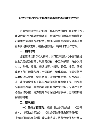 2023年县企业职工基本养老保险扩面征缴工作方案