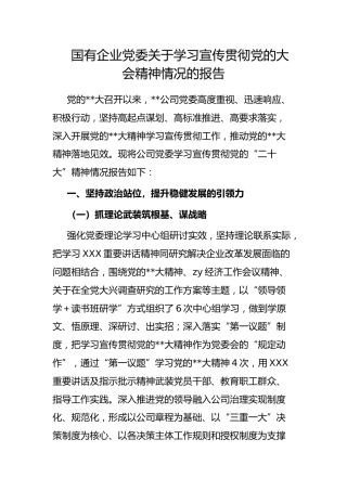 国有企业党委学习宣传贯彻党的大会精神情况的报告