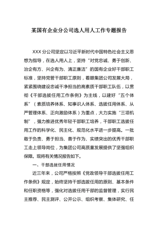 选人用人工作专题报告：国有企业分公司选人用人工作专题报告