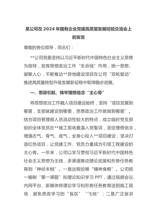 公司在2024年国有企业党建高质量发展经验交流会上的发言