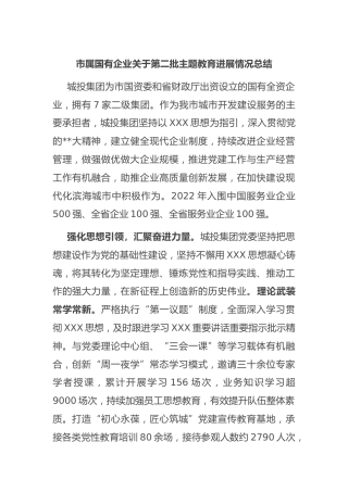 市属国有企业第二批主题教育进展情况总结