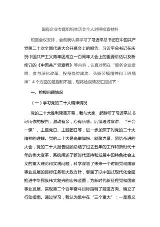 国有企业专题组织生活会个人对照检查材料